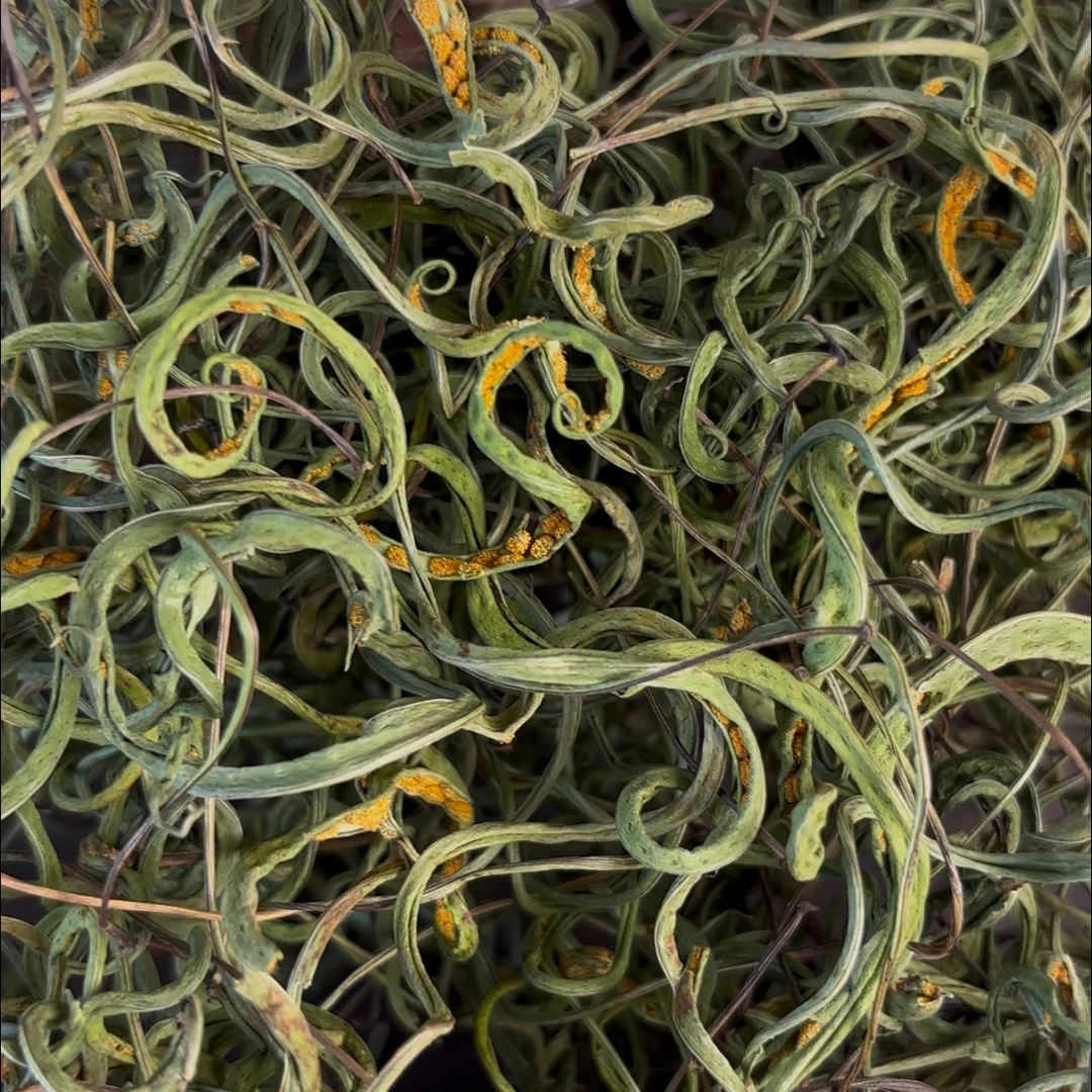 孢子点丰富 源自长白山  嗷嗷草 黄金小草 肾精 男士茶