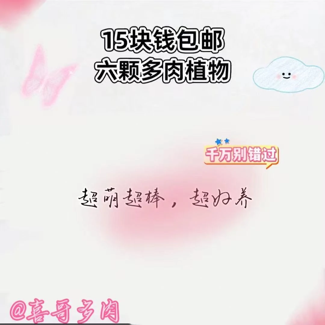 6棵精品多肉植物随机发可以自选