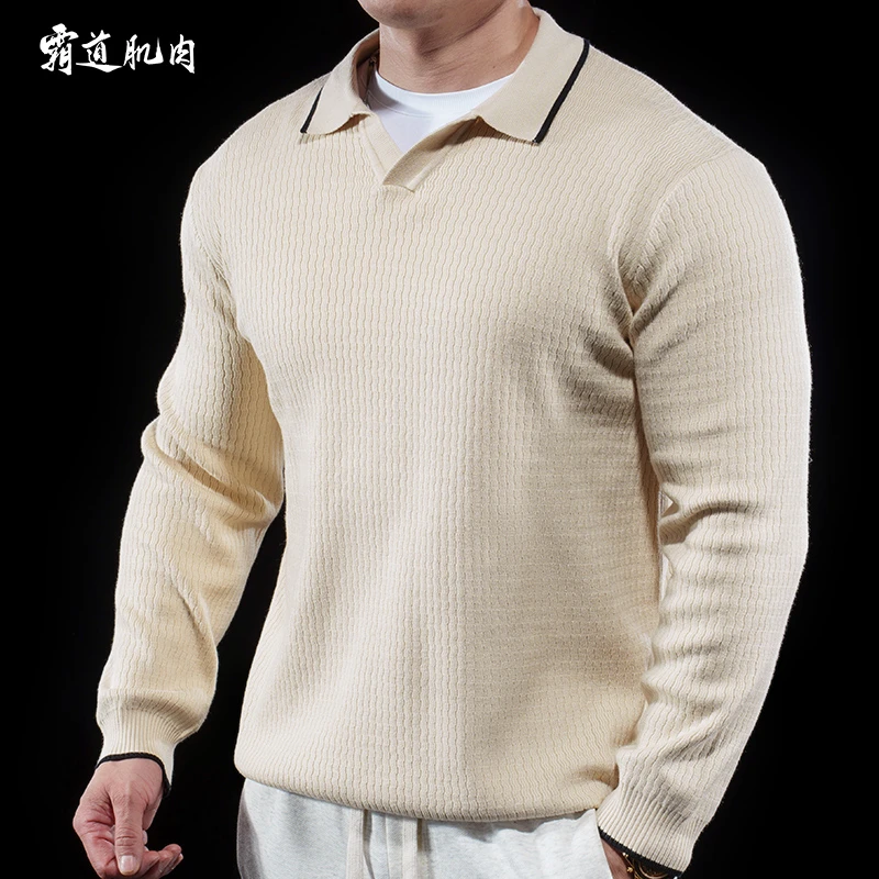 霸道肌肉男士商务休闲翻领毛衣针织衫长袖休闲百搭秋冬保暖上衣