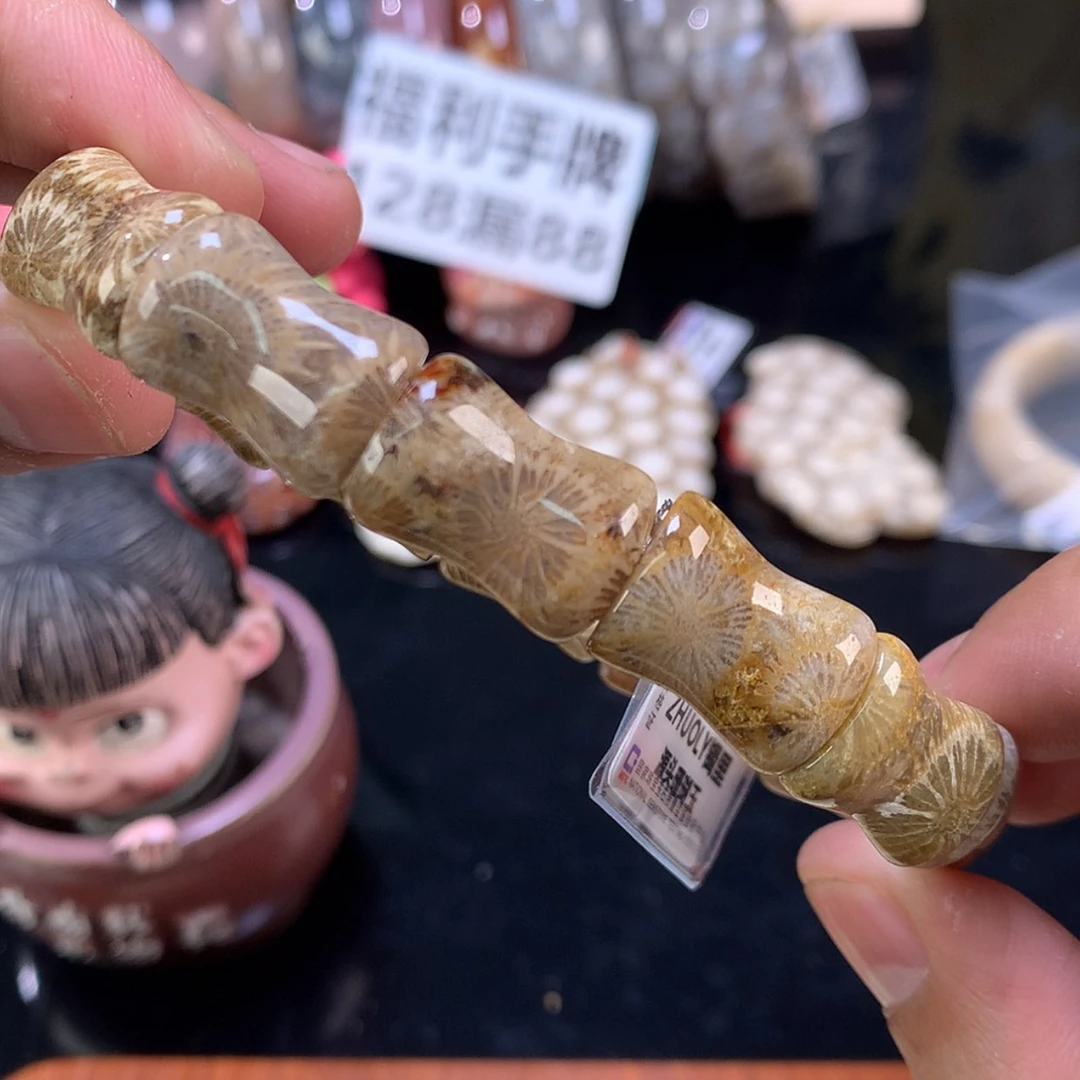 【闪购商品】颈饰未镶嵌硅化珊瑚（珊瑚玉）67号大花花