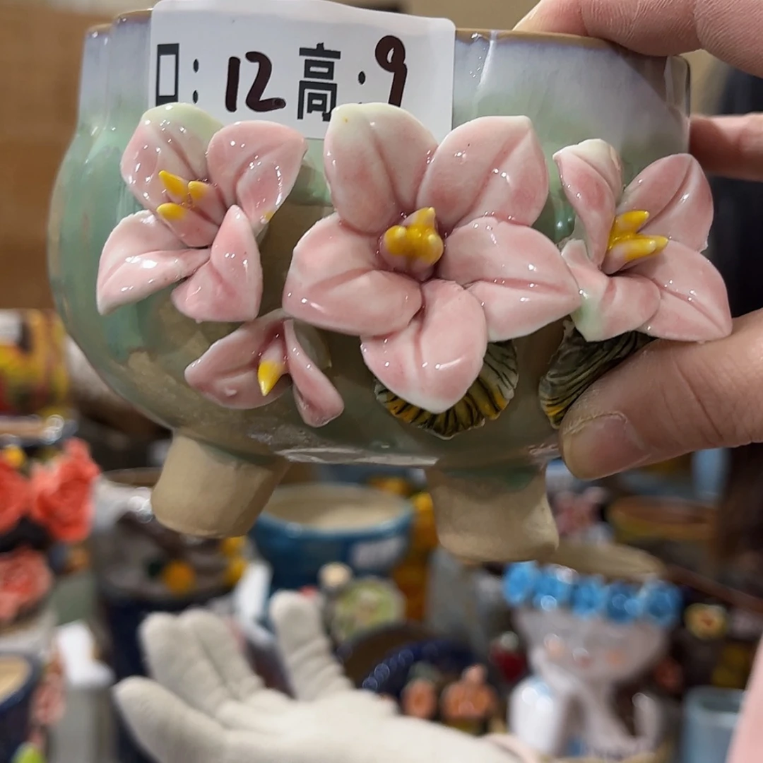 【闪购商品】红陶福利