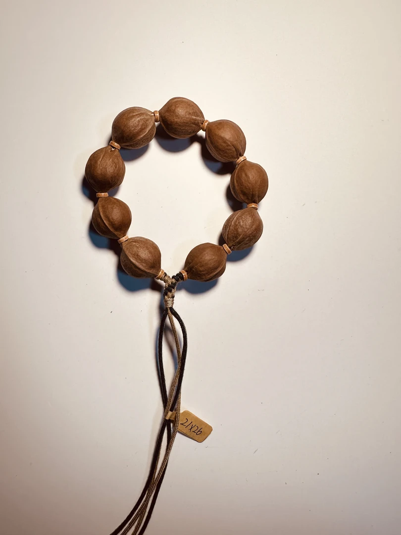 意祥梅林铁核21×26鲨鱼背