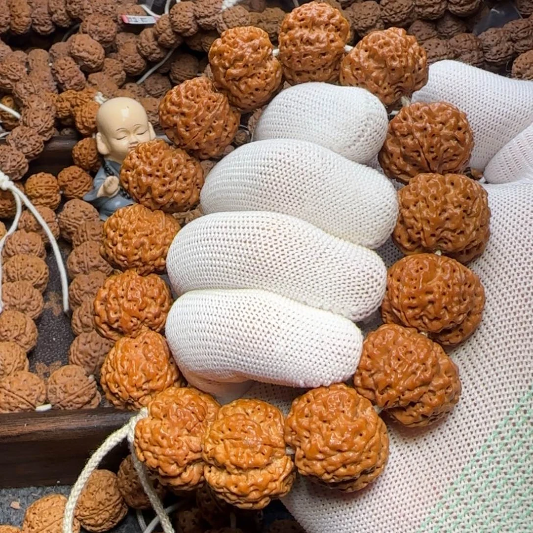 菩提金刚菩提23深沟满肉