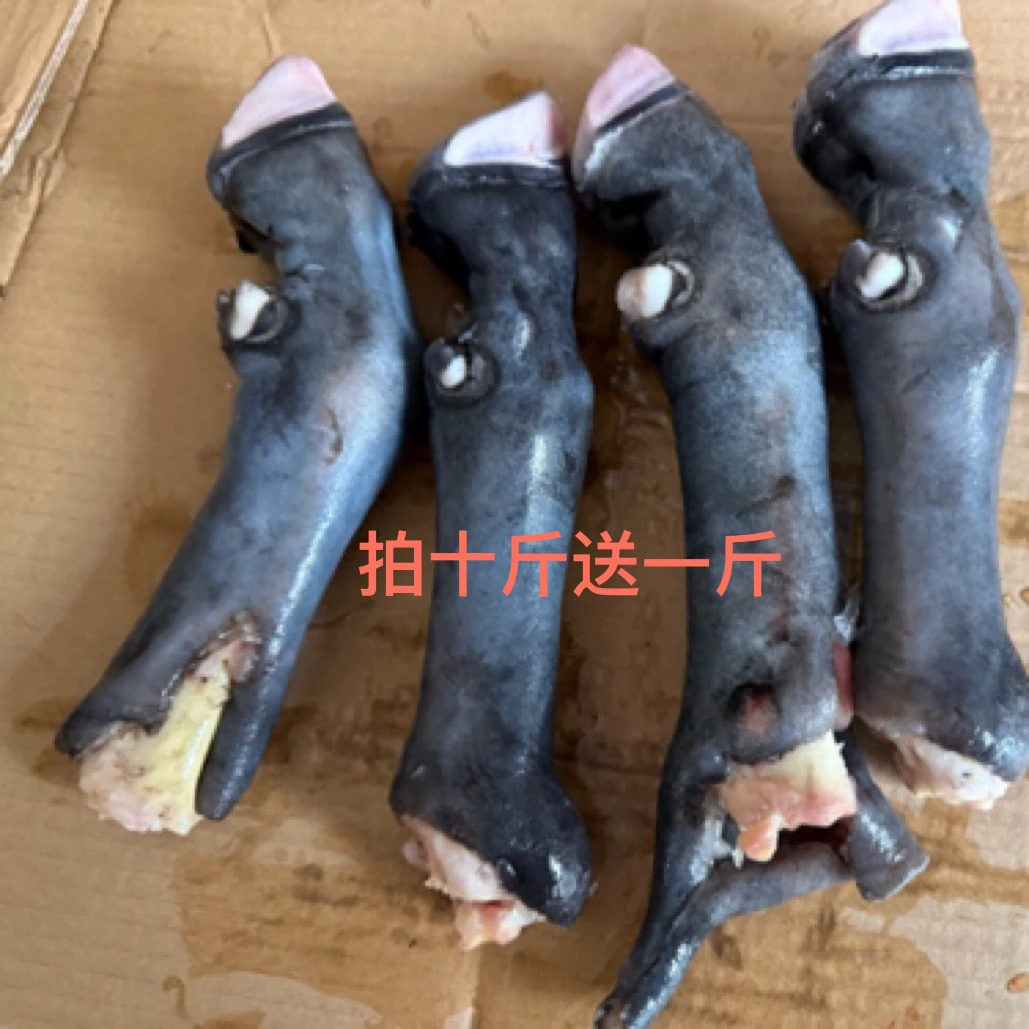 纯鲜清真现宰黑羊蹄，不抽筋（拍十斤送一斤）