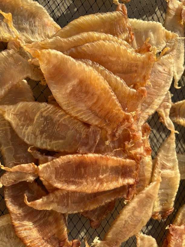 【小吖家鱼胶】南澳日晒赤嘴母