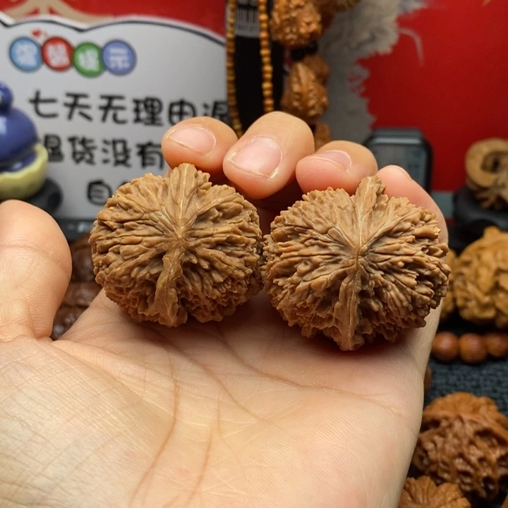 吊坠龙脊菩提137异形福利