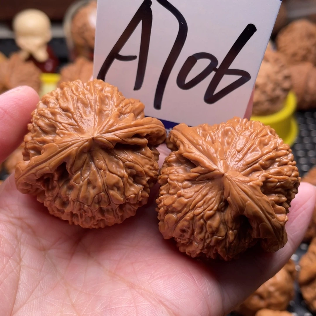 把件桃核白狮子43