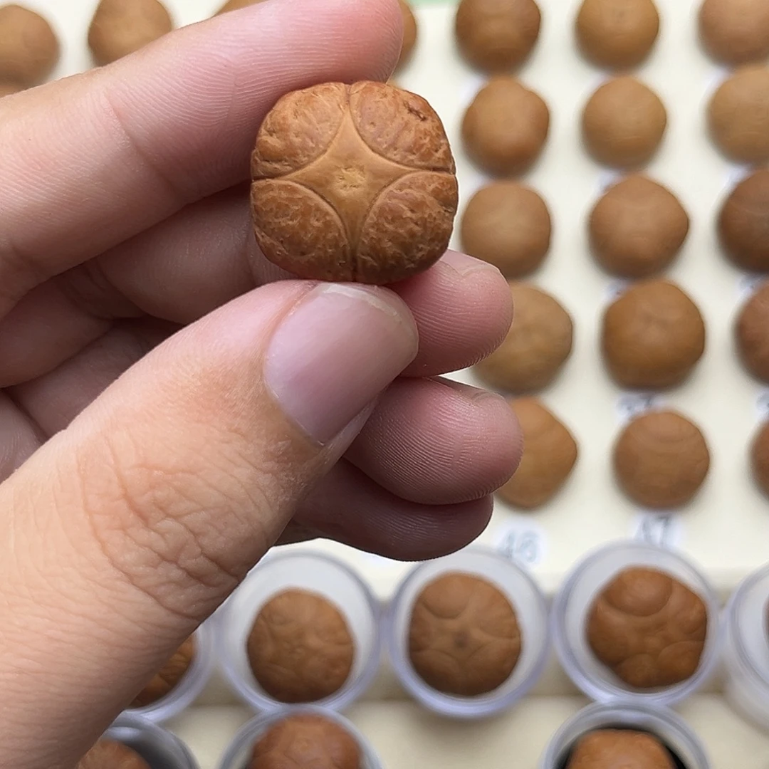 万***，吊坠凤眼菩提4星打孔不退换