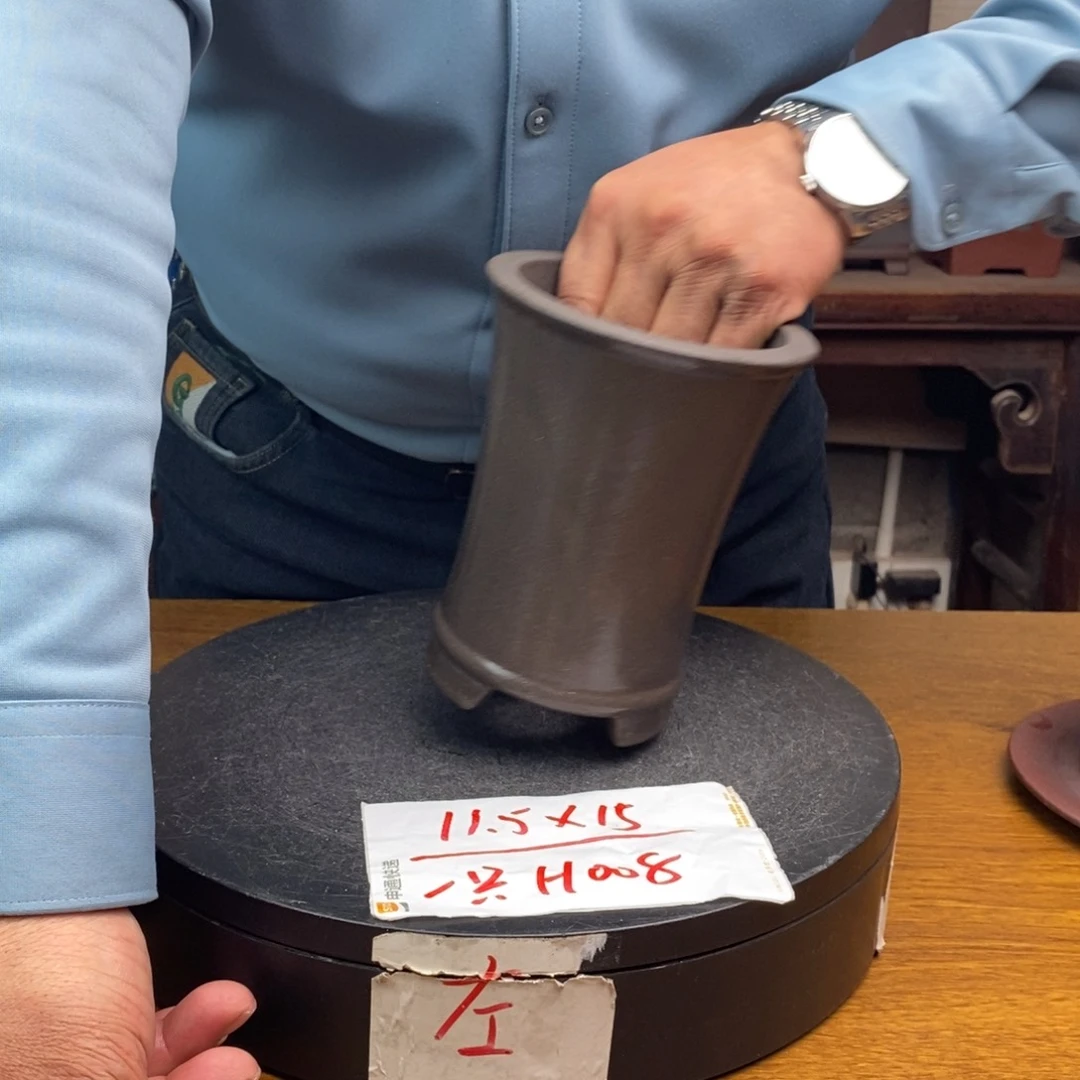 红陶货号一只H008