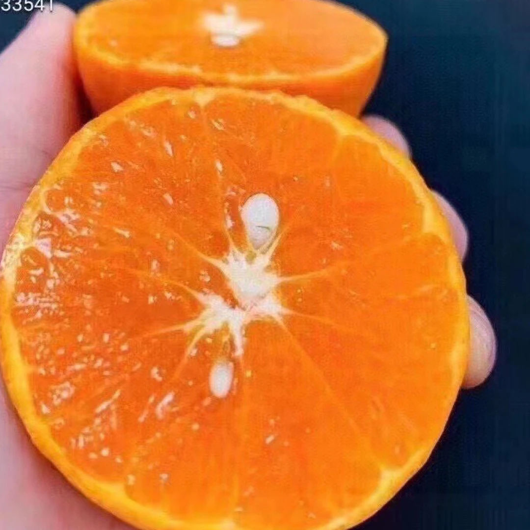 《晓智严选》  武鸣沃柑  汁水丰盈 净重3斤