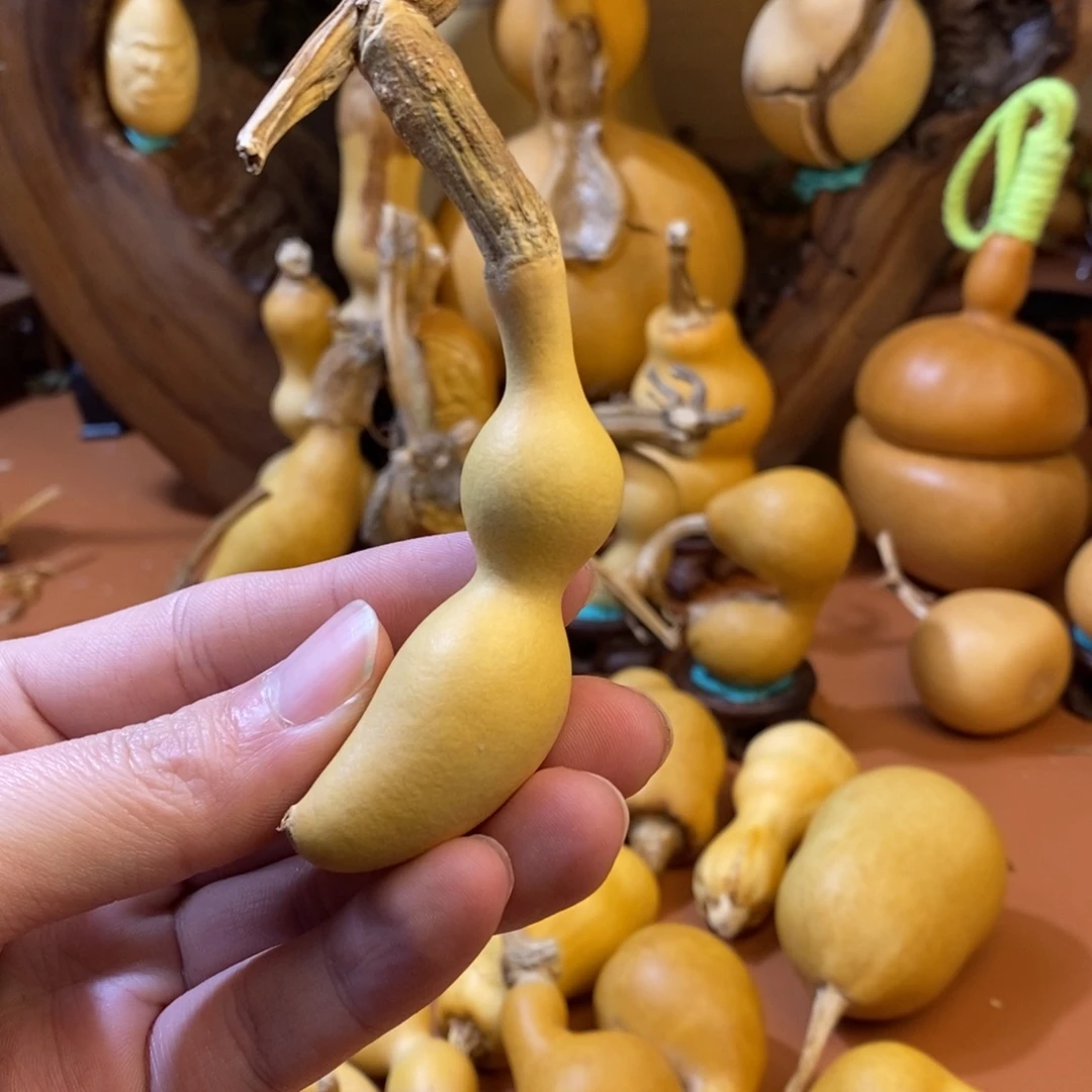 ****～教练教练咯哦哦哦哦咯