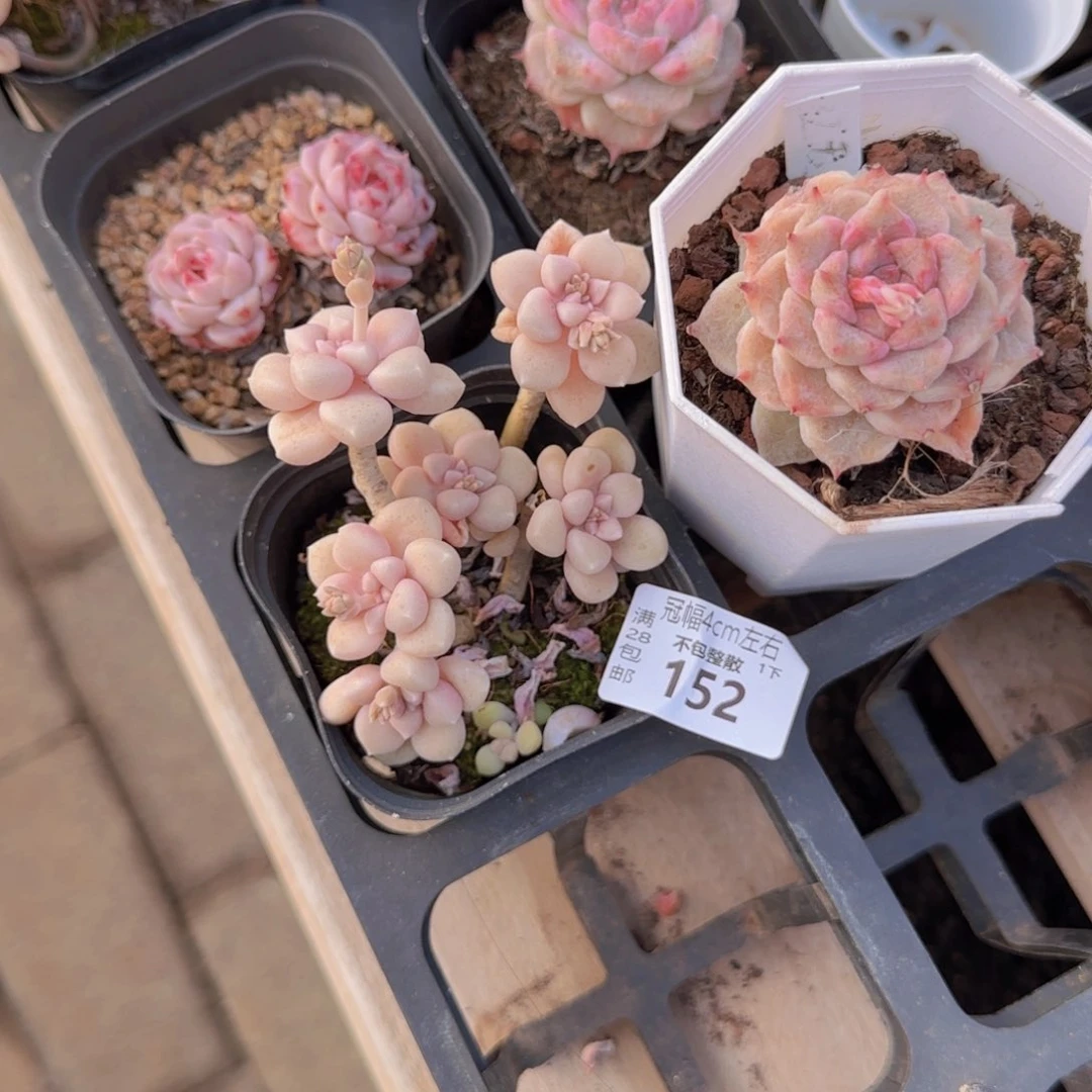 全场满28包邮零下拍保温