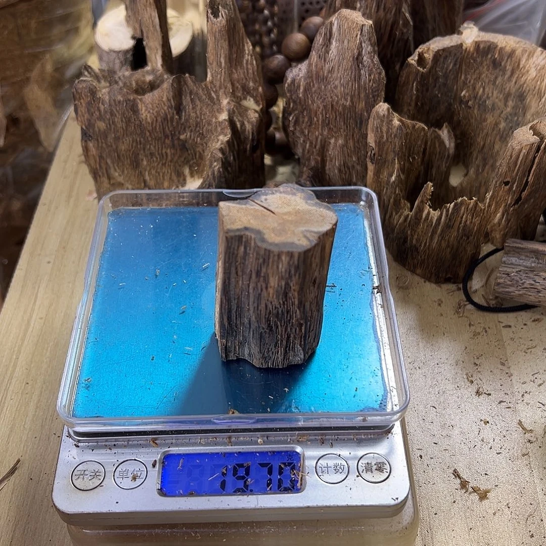 香料绿奇楠虫漏17克乌身