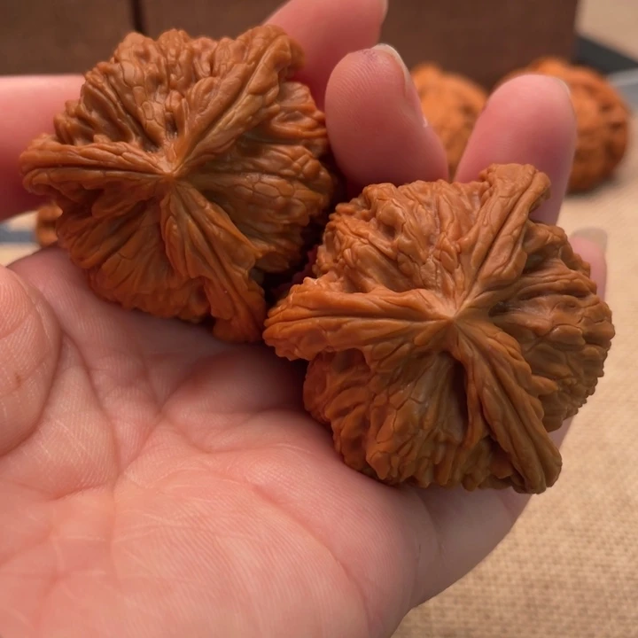 马***。核桃白狮子41核桃