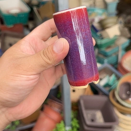 我的朋友在哪里我想我可以