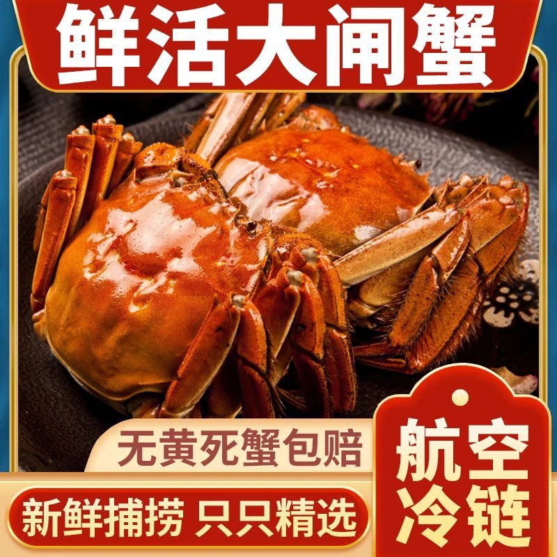 【活蟹】江苏河蟹 全母蟹1.8到 2.1两8只送2只共10只