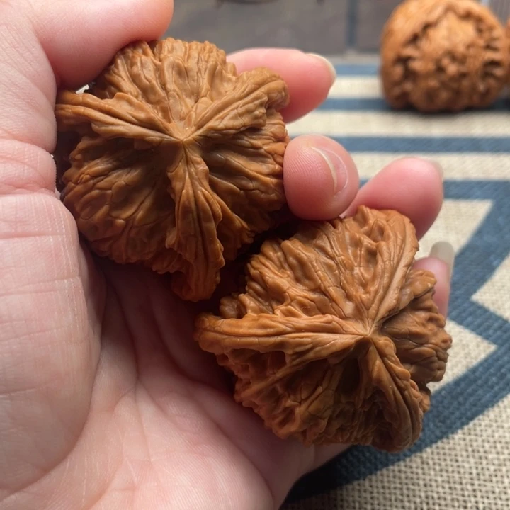 去***蹄核桃白狮子47核桃