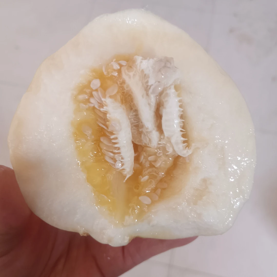 顺丰包邮秦安安川头茬白脆瓜新鲜当季脆甜香瓜自然成熟