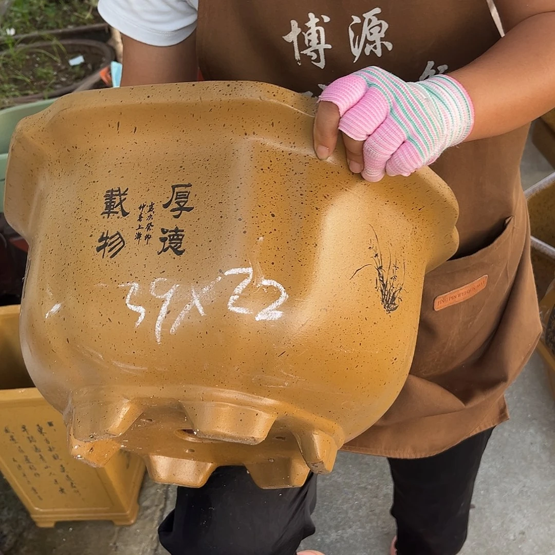 紫砂花盆盆景艺术