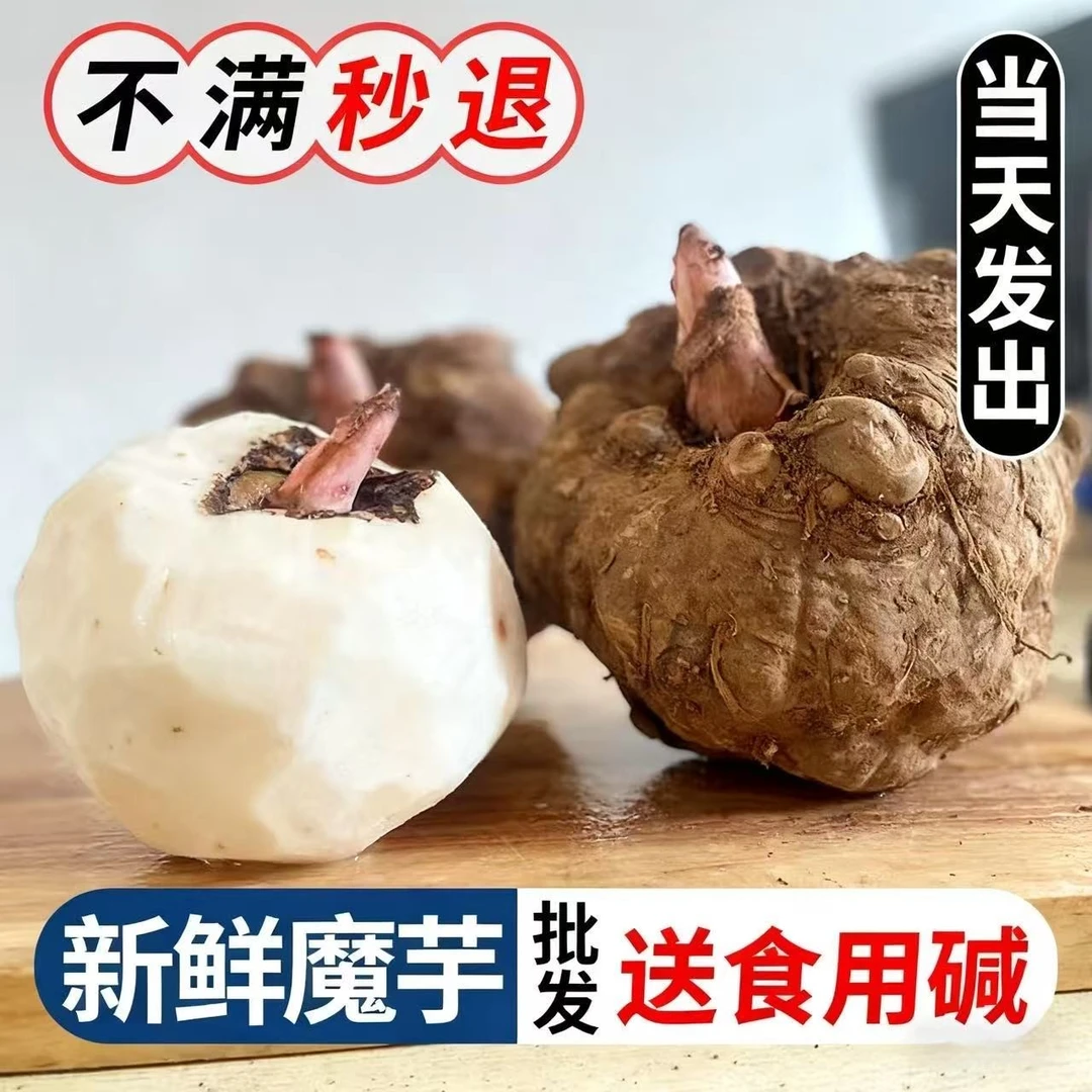 云南农家鲜魔芋大个魔芋头应季魔芋豆腐原料生魔芋