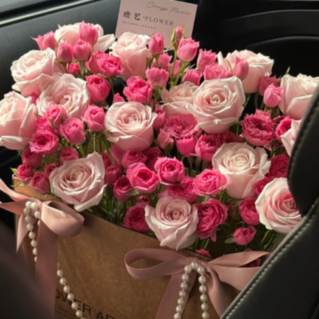 【岁月静好】苏菲宝贝粉雪山玫瑰抱抱袋