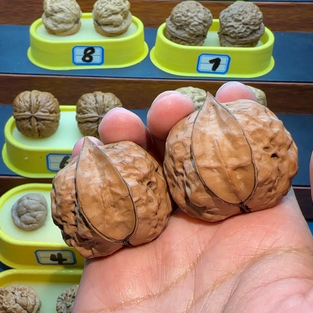 飛***鹰桃核把件生命之源