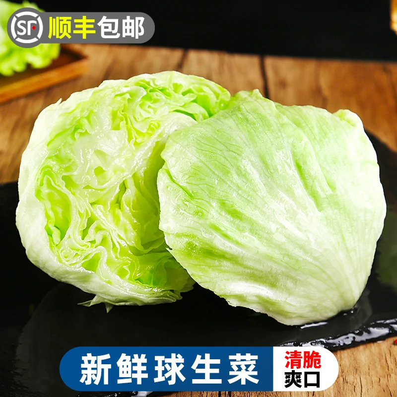 【顺丰】新鲜球生菜2-10斤圆生菜新鲜蔬菜沙拉清脆爽口西生菜生鲜