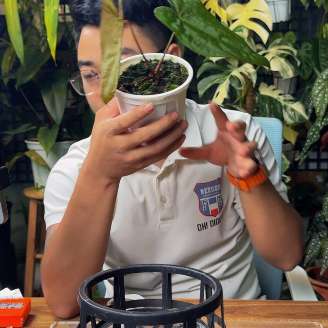 我***咸无花朵一物一拍X165