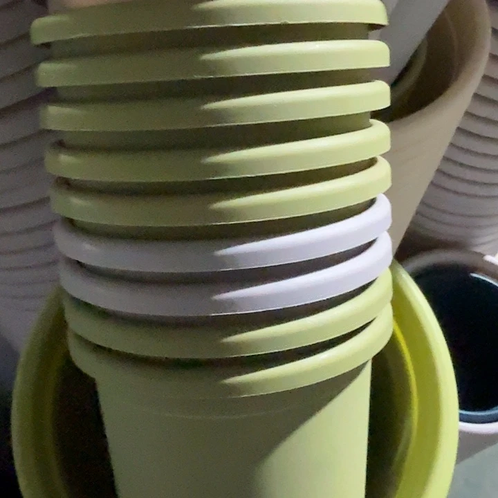 10个1号盆无托盘的