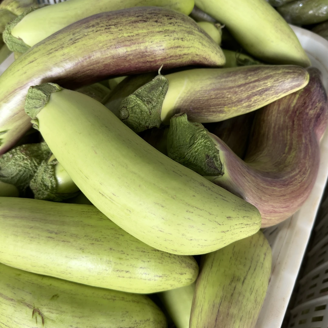 云南冰川茄子新鲜糯茄花茄露天蔬菜餐饮食材批发