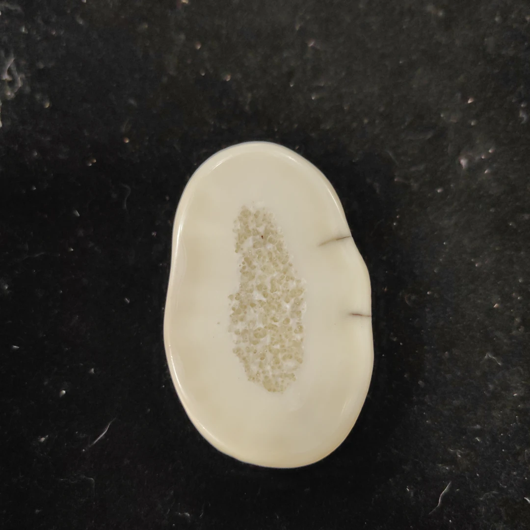 猛犸猛犸虬饼子WW171