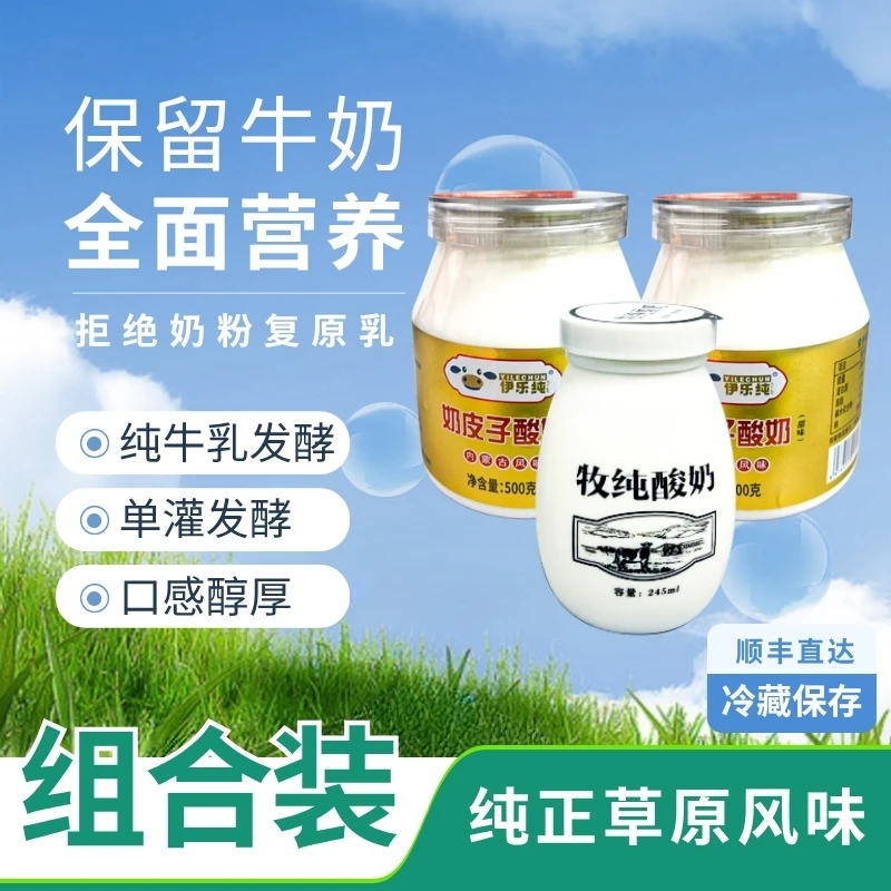 内蒙古直发奶皮子酸奶到手三瓶组合装顺丰纯牛乳发酵浓厚好吃