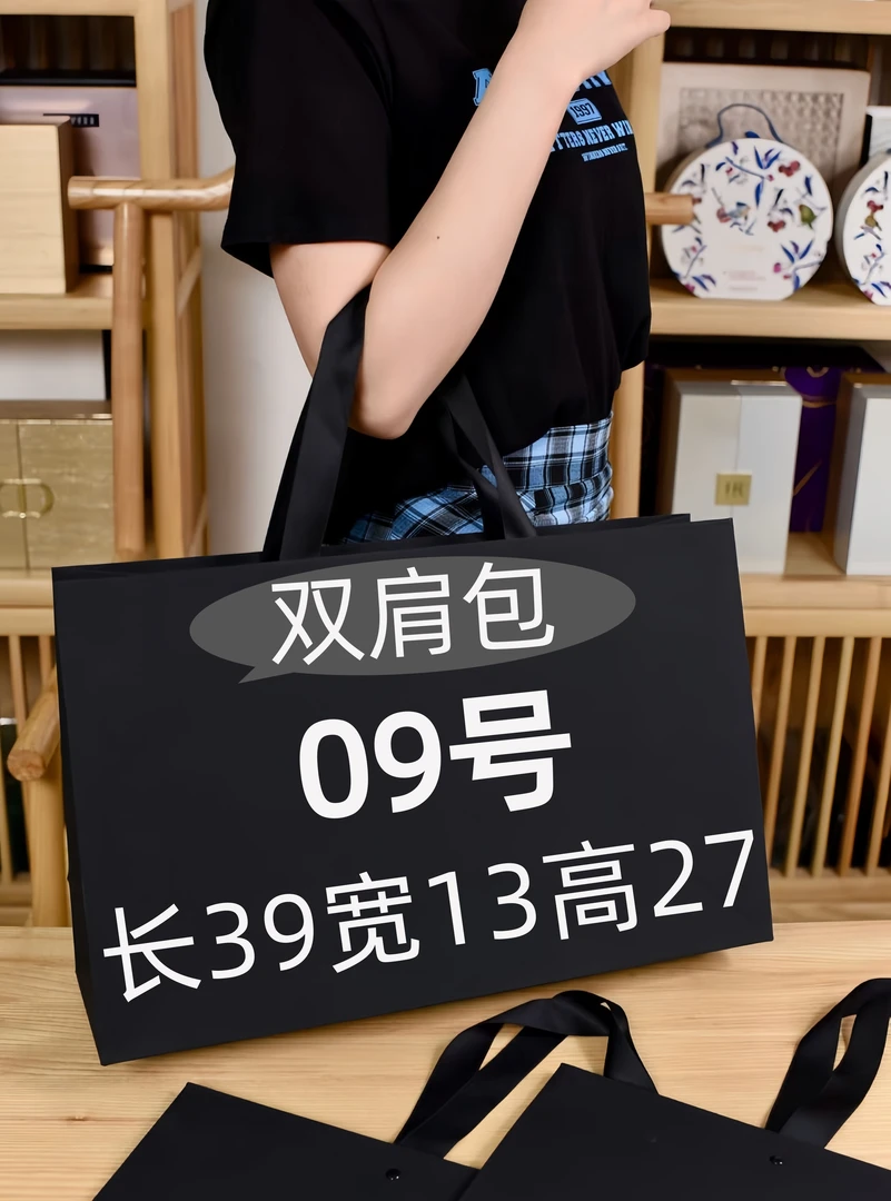 【9号】2025秋冬旅游出差上班大容量气质轻奢双肩包长（39宽13高27）