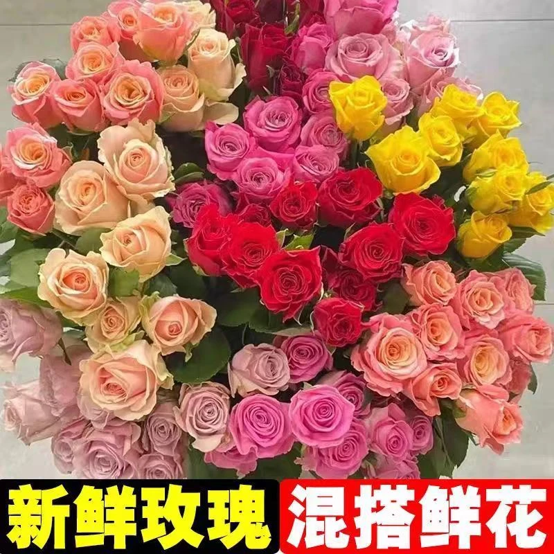 云南鲜花世界中元节玫瑰云南基地直发七夕用花插花混搭花束