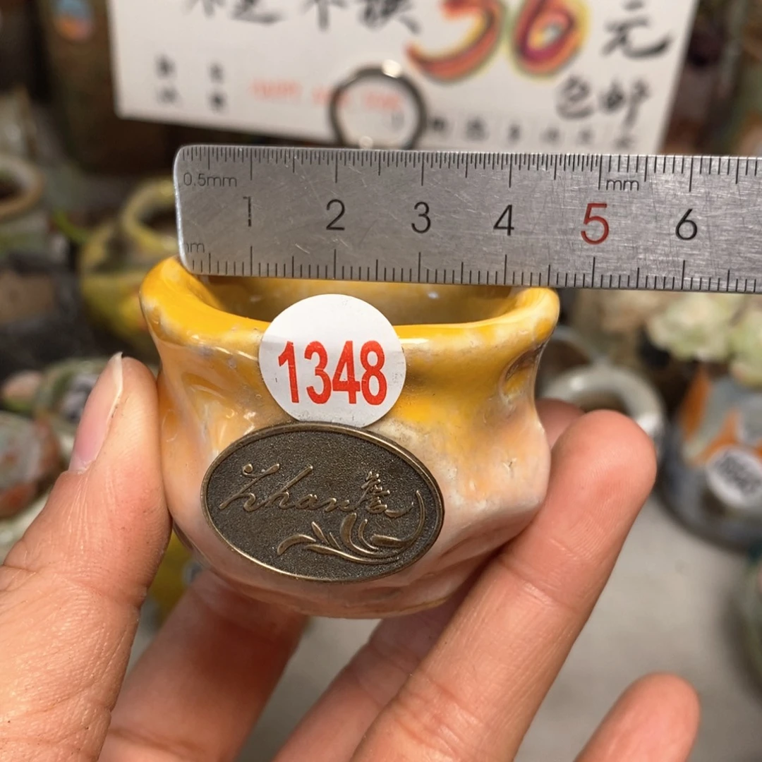 花盆拍5送一个小礼物
