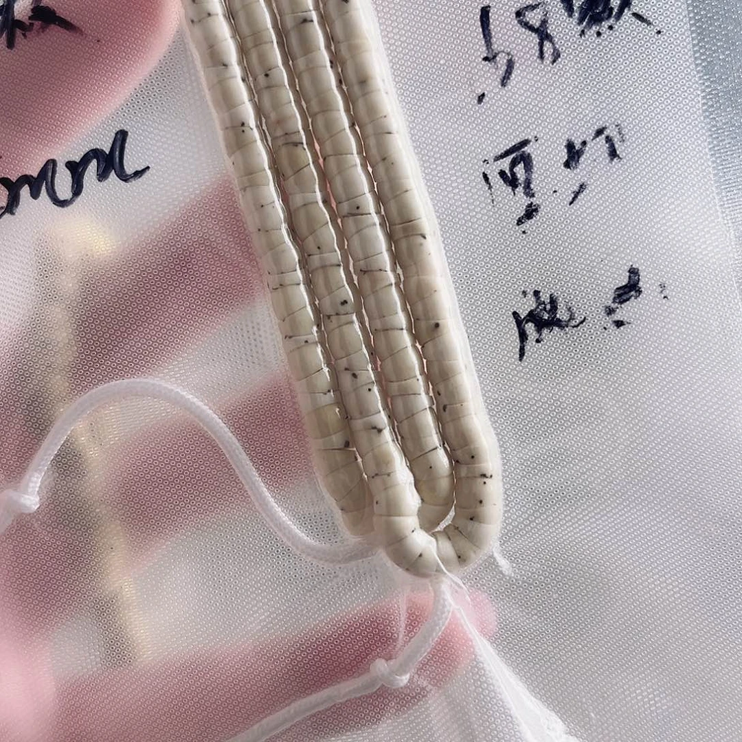 耀***家吊坠星月菩提星月