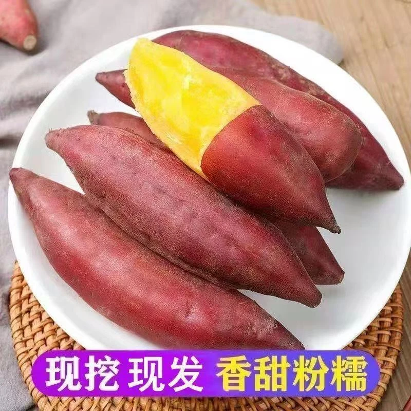 农家自种小香薯50-150g中果红皮黄心地瓜新鲜现挖粗粮坏果包赔