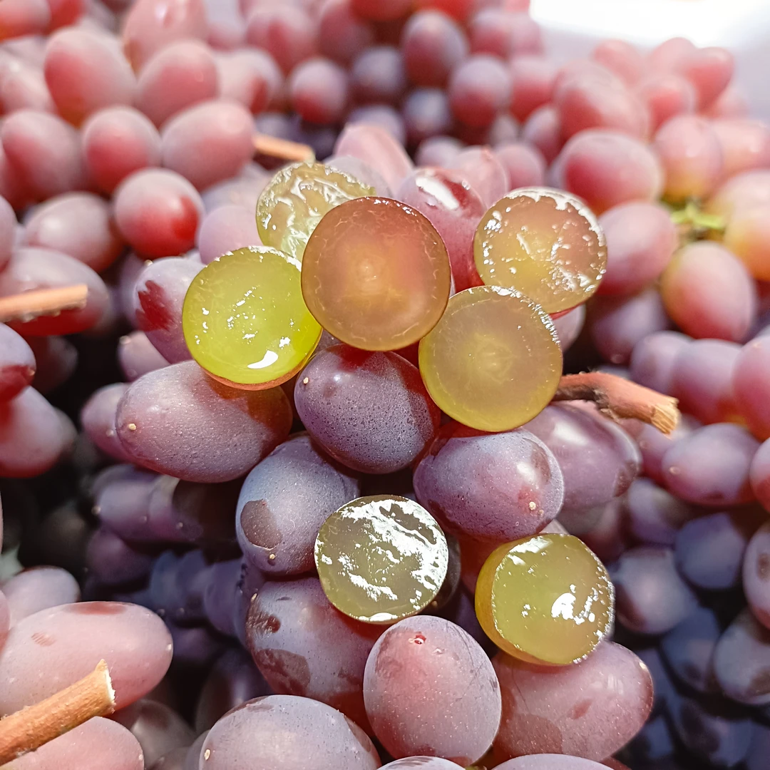 茉莉香葡萄云南省