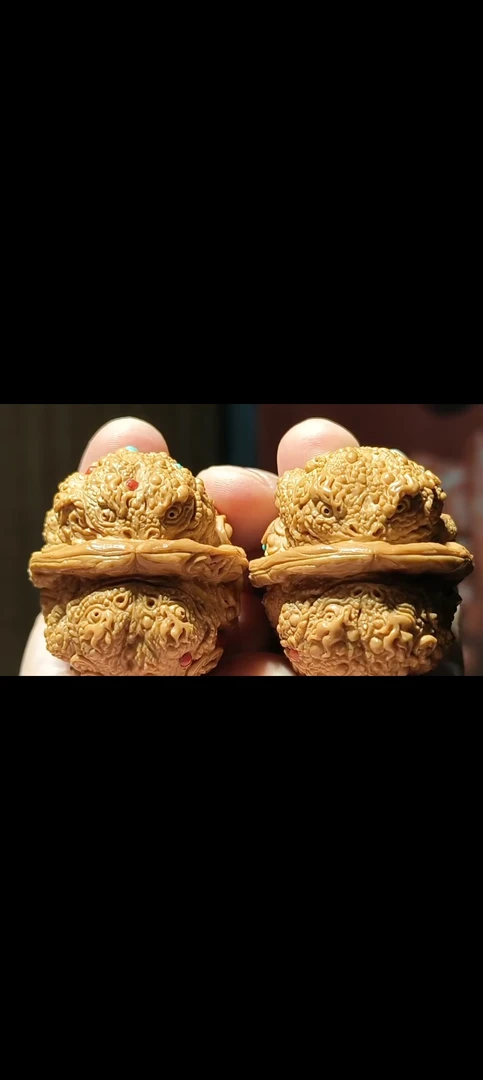 主树金蟾疙瘩包 尺寸42 精雕 镶嵌