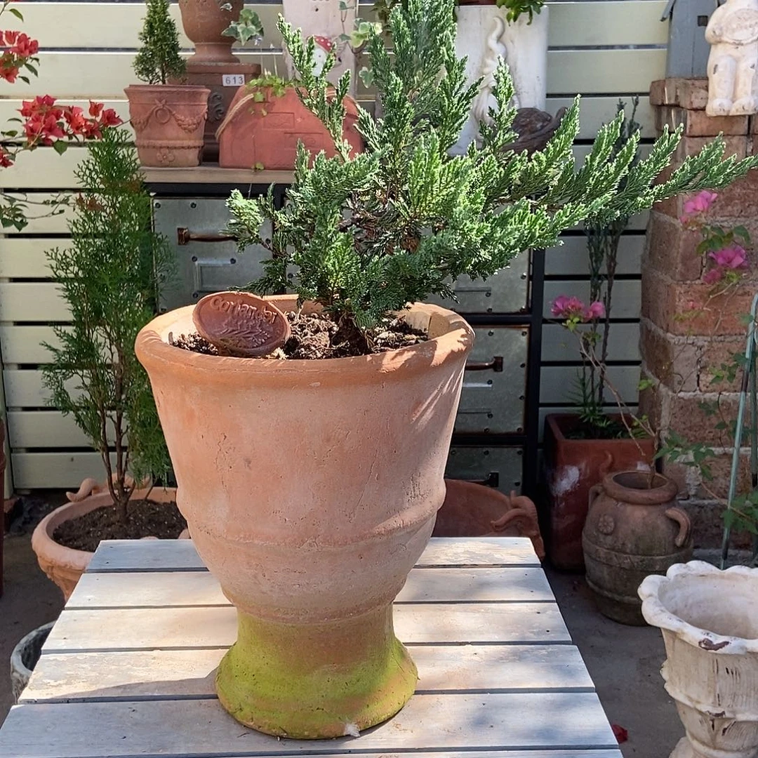 福利硬裂或者手压痕迹特价