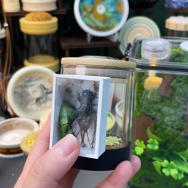 段***油葫芦套装啊哈哈啊哈哈哈哈哈
