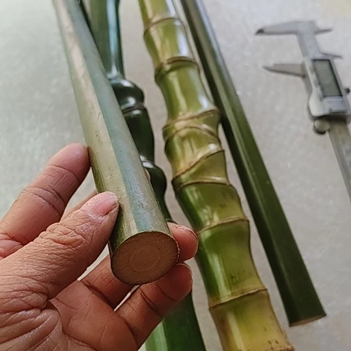 落***否dddddddddd嫡嫡道道是是是