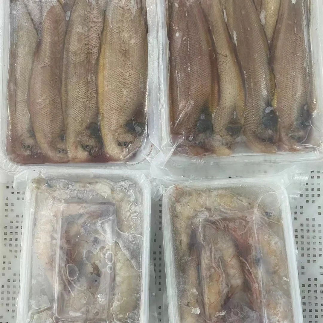 《双程专属》谢记海产品新鲜鱼类2号套餐