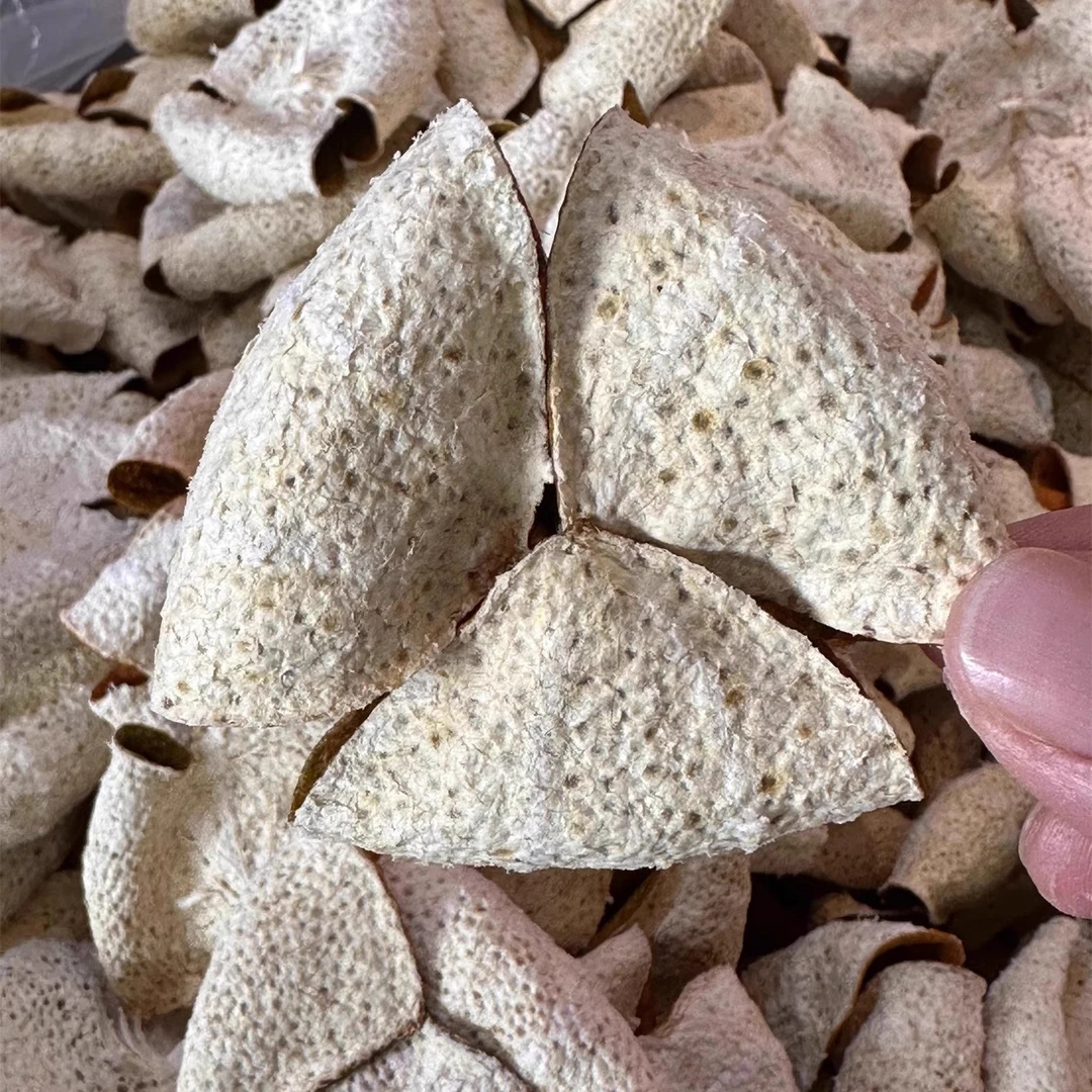 《东甲牛比围精品折花》精挑红皮手工折花人工牙签定型自然生晒珍藏