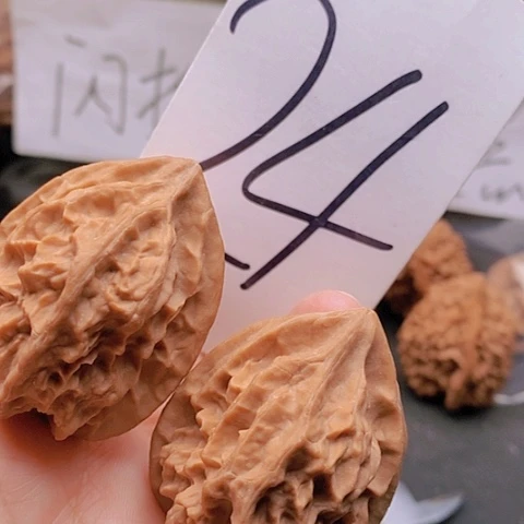 吊坠桃核38全品龙骨