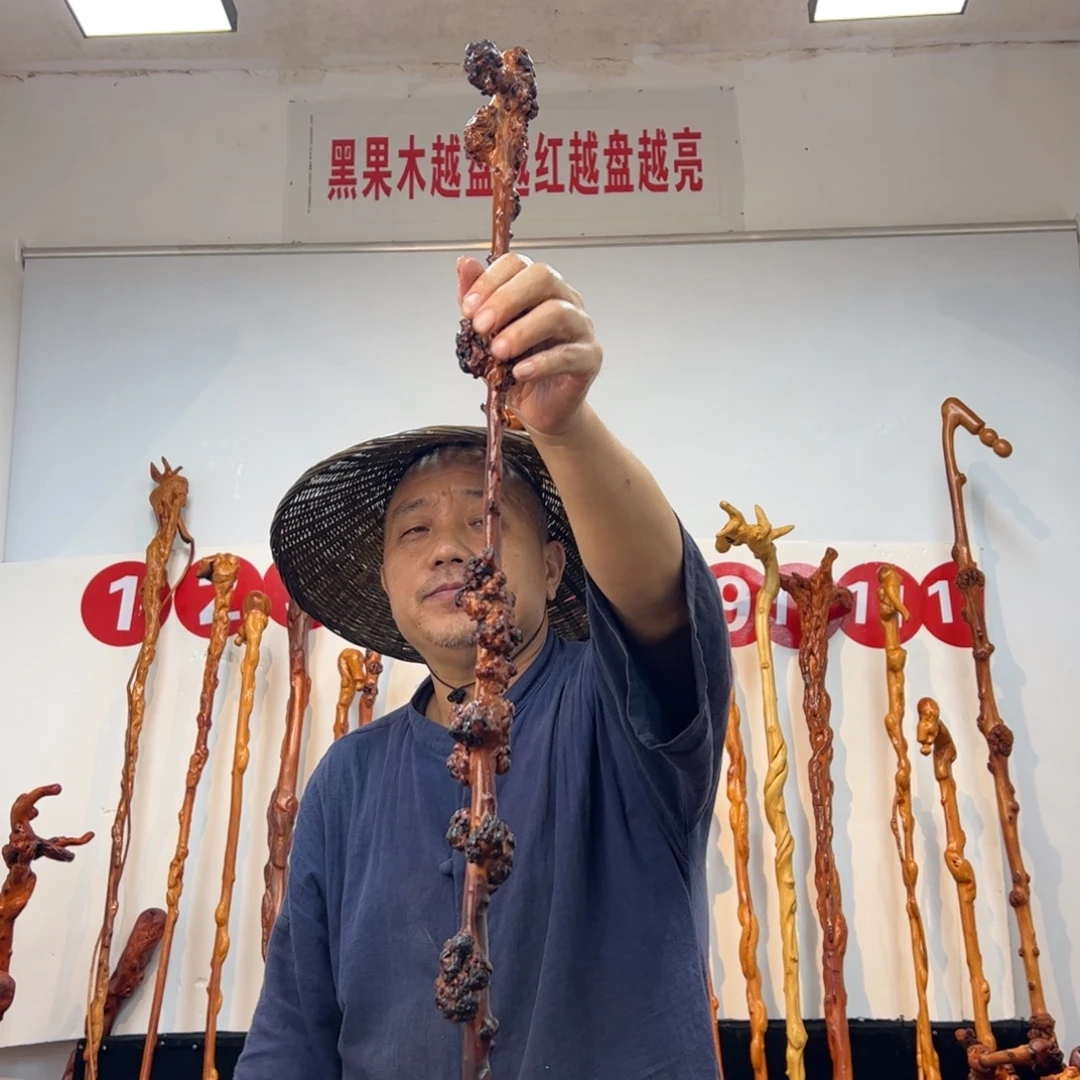 待***宾黑果木其他黑果木740