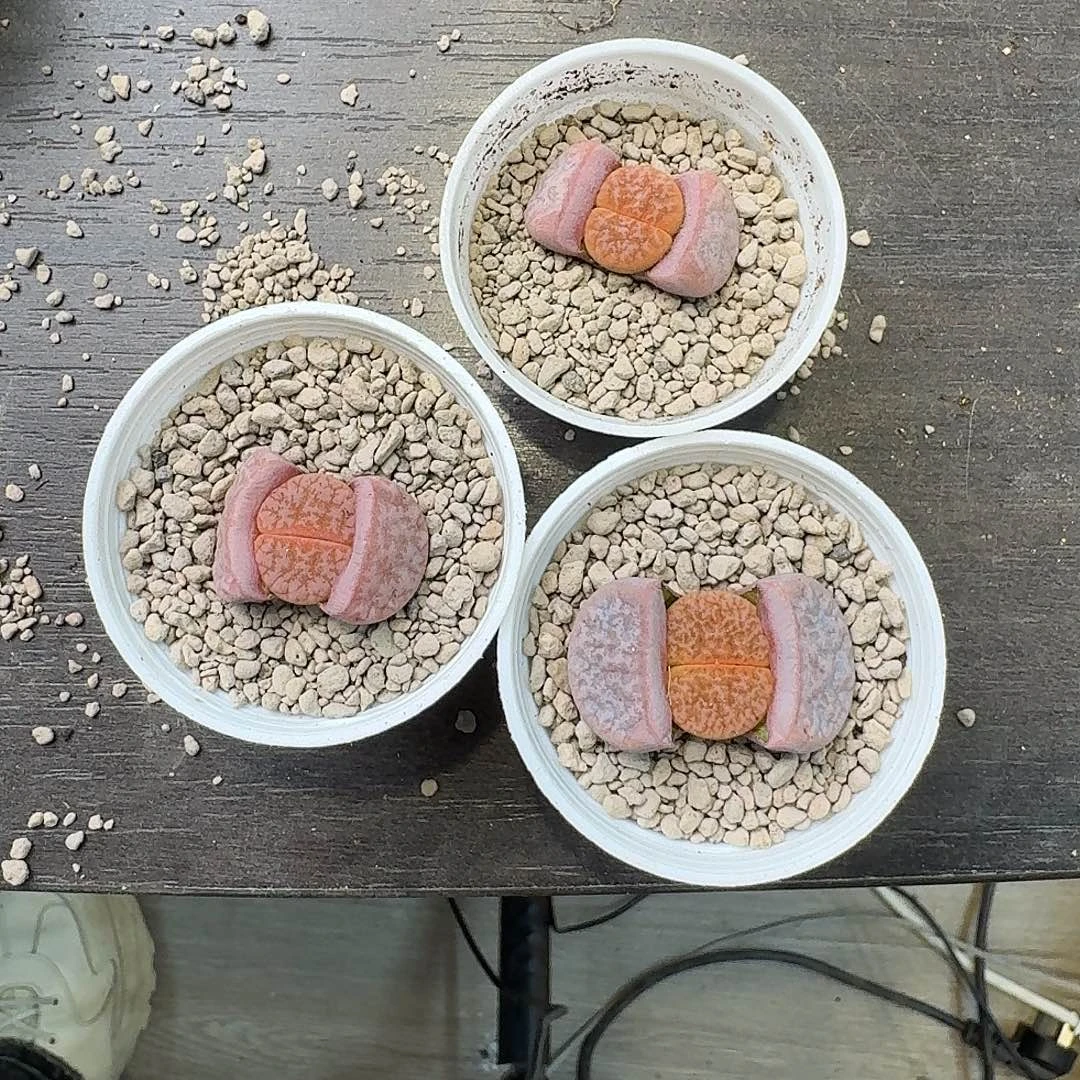 一***锅626 哈哈哈哈哈哈哈哈哈哈哈