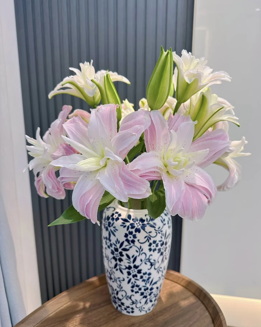 莲花雅致重瓣百合(冻坏拒收不售后)