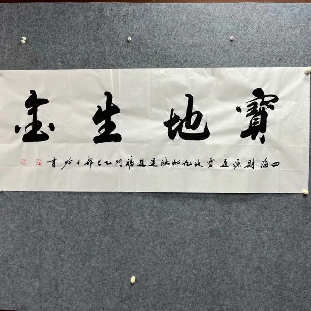 二八书画郭申岭老师小六尺白宣《宝地生金》