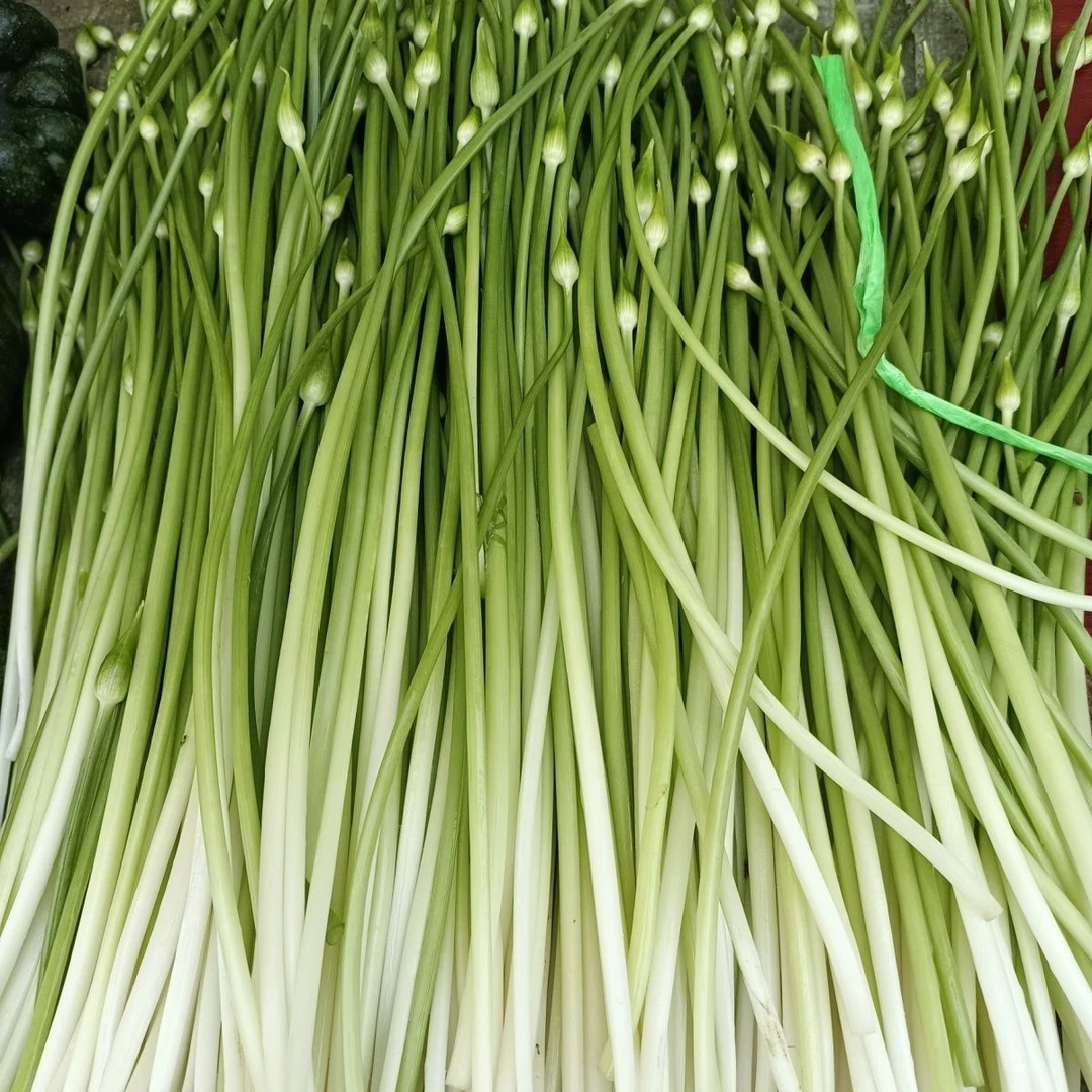 广西桂林农家韭菜花